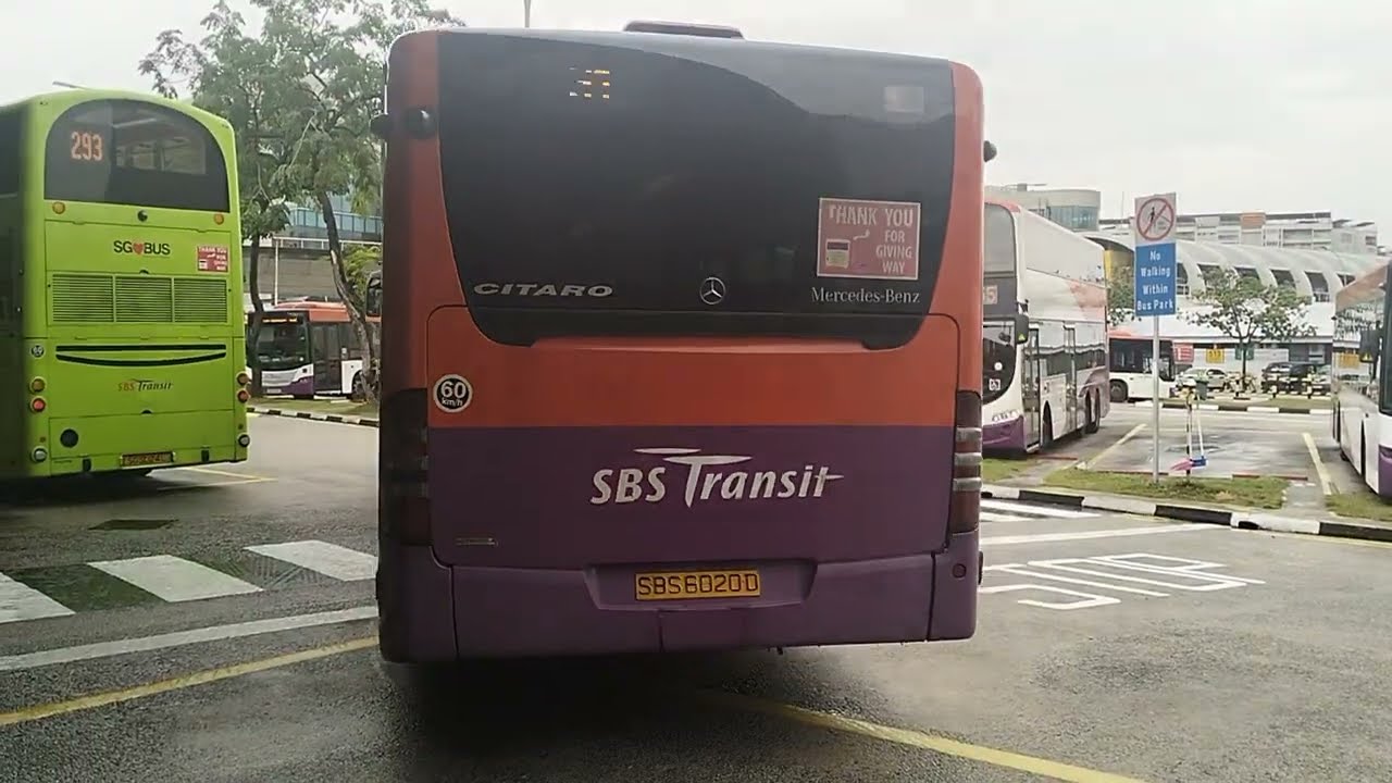 SBS Transit SBS6020D Mercedes O530 Citaro on 31