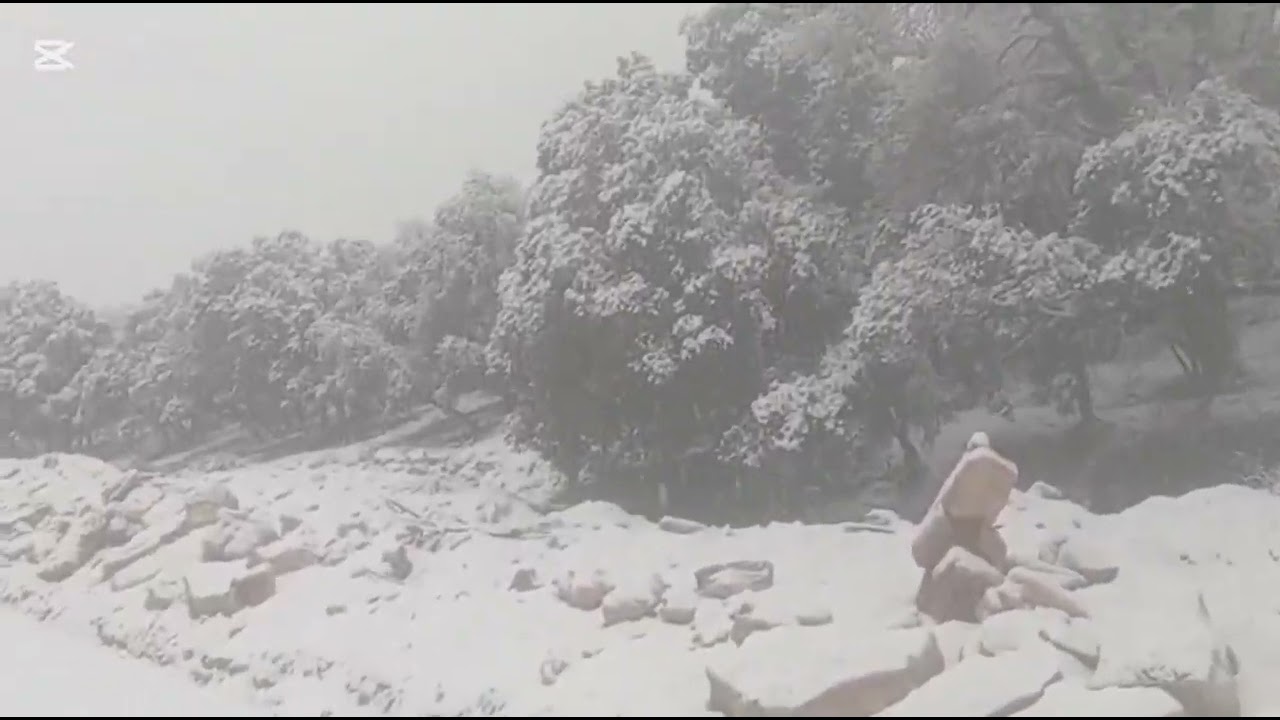 لحضة لاتنسى🗻مع مفاجاءة الطبيعة🌨