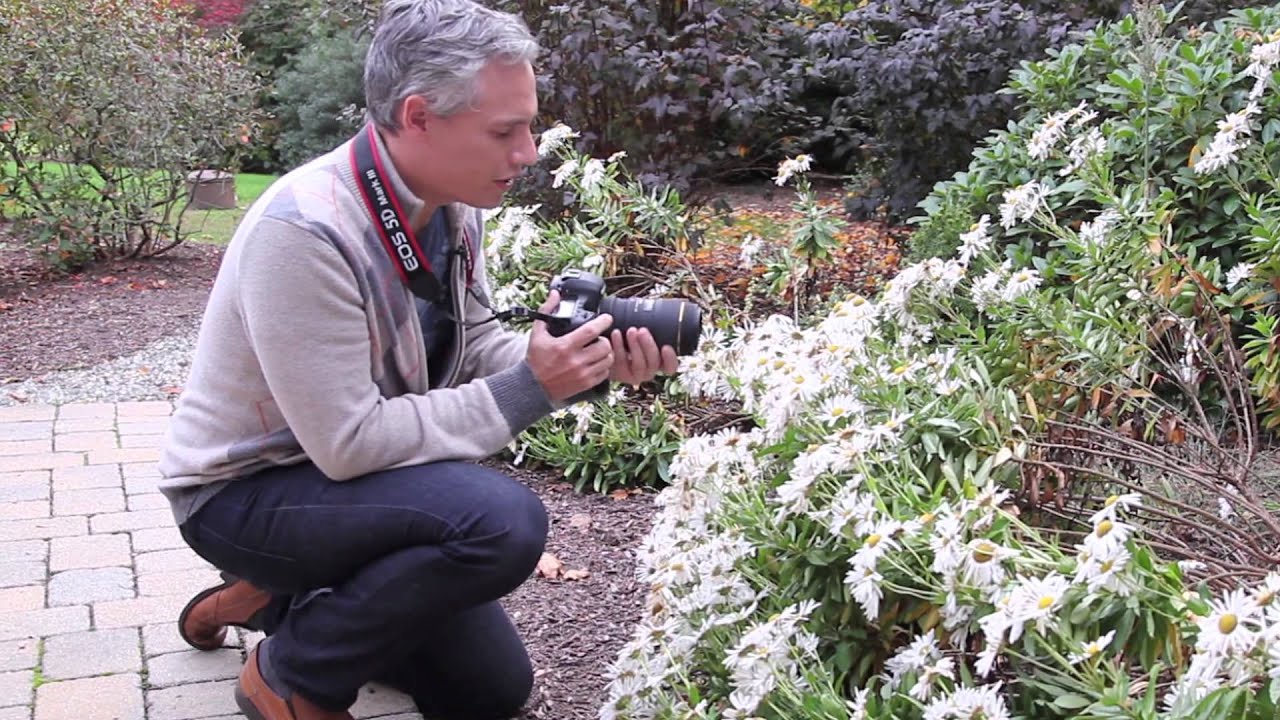 How to Photograph Insects: Bees, Butterflies, Wasps, and Flies Photography Tutorial