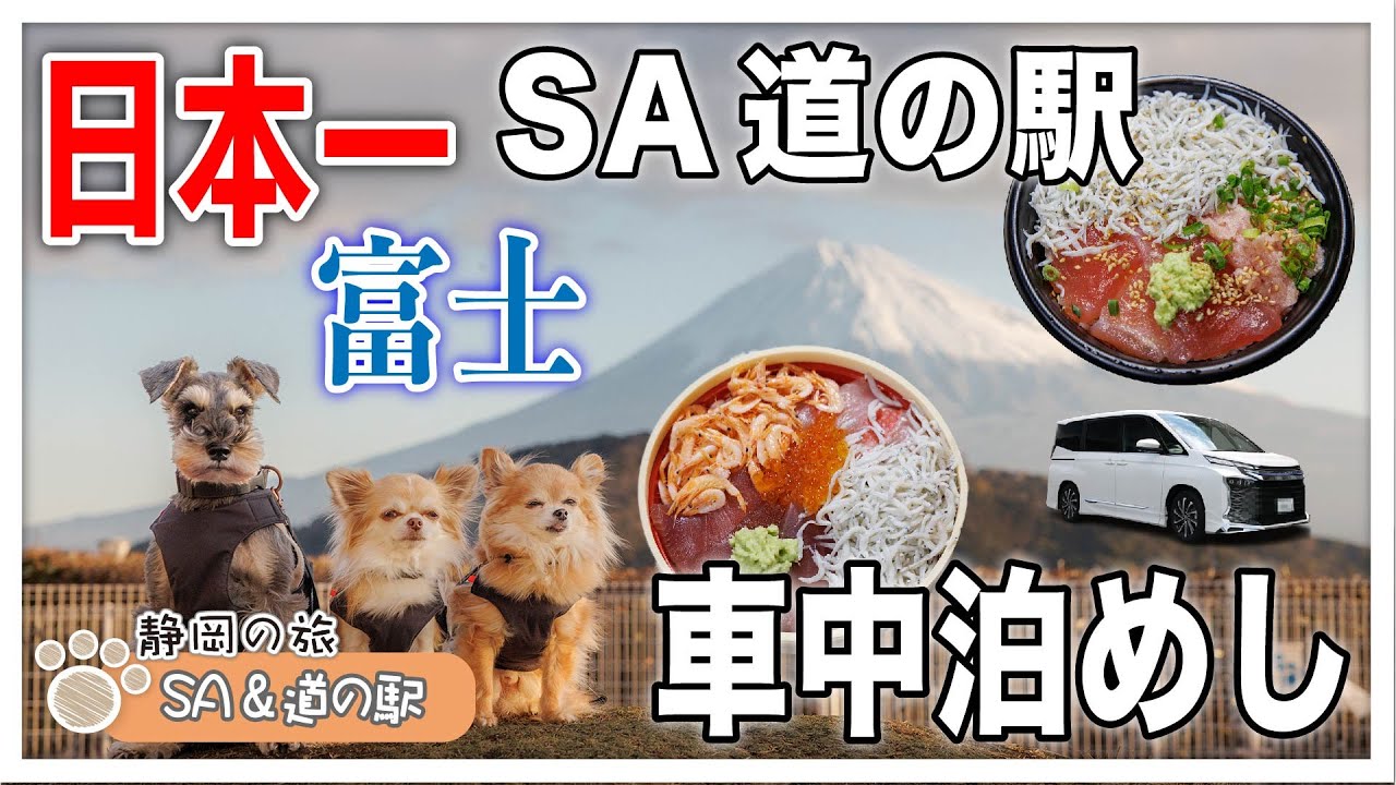 【静岡の旅・SA＆道の駅で車中泊】2つのおすすめスポットが合体！？SAぷらっとぱーく富士川＆道の駅富士川楽座をご紹介！絶品車中泊めしで大満足【車中泊】