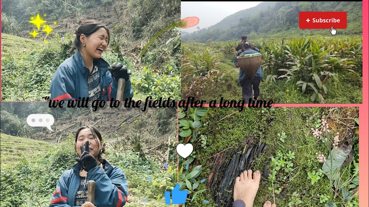 Day in phassang village 🍀/family✨/village life/arunachal pradesh 🍀