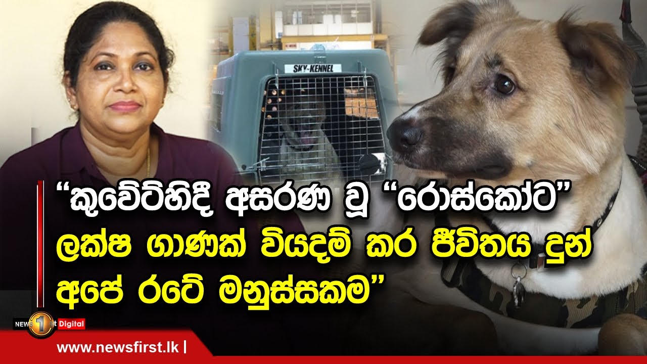 කුවේට්හිදී අසරණ වූ 