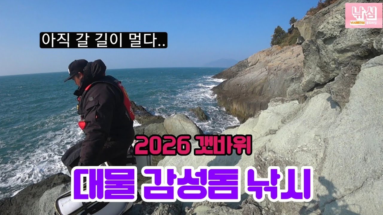 넣자마자 바로잡은 대물 감성돔 두마리..ㄷㄷ / 홍합으로 갯바위 낚시 / 새해 첫 감성돔.. 드디어 대물 잡았어요!