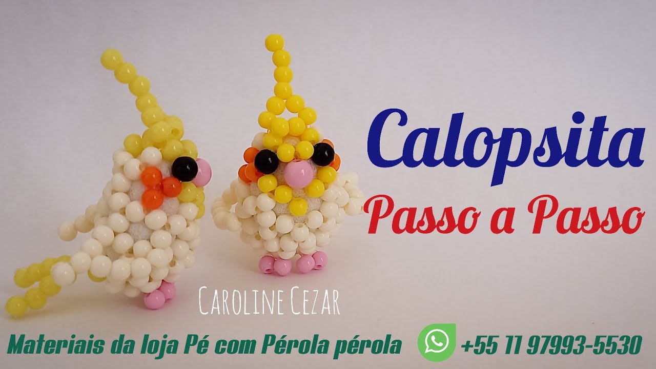 Calopsita passo a passo