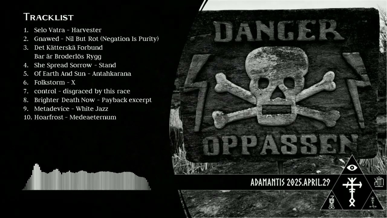Industrial Ambient, Death-Industrial and Power Electronics