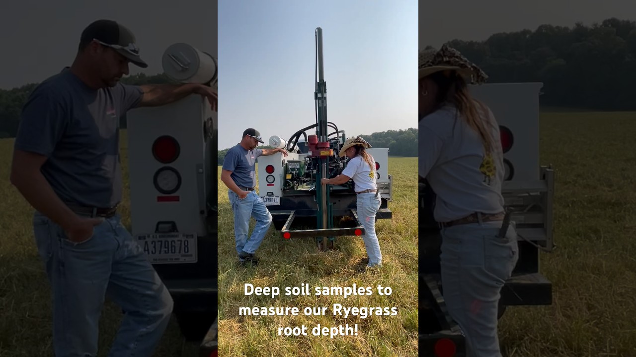 This is an example of the dozens of deep soil samples taken on our farm to measure root depth!