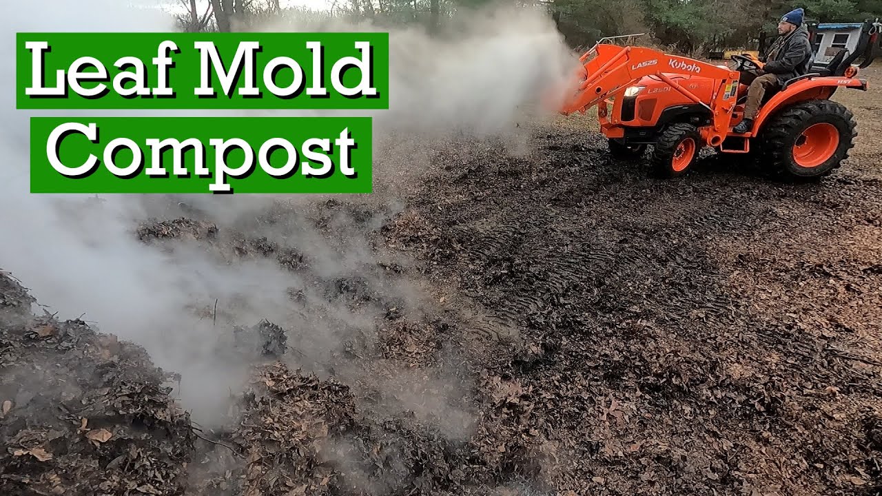 Leaf Mold Compost | Benefits | Facts & Details