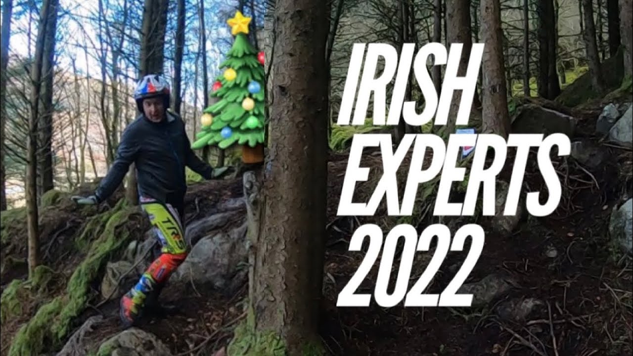 2022 Irish Experts and Christmas Prep