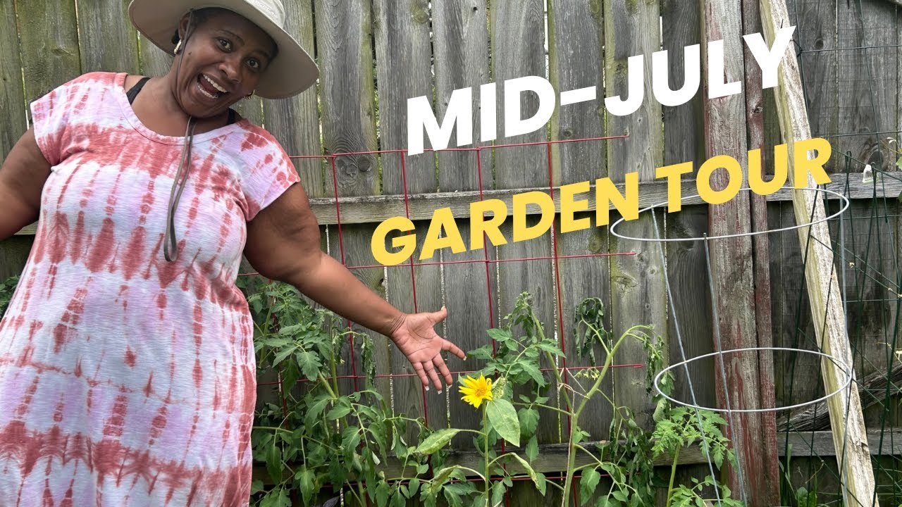 Mid-July Container Garden Tour! Zone 6b Chicago! What’s Blooming or Struggling?