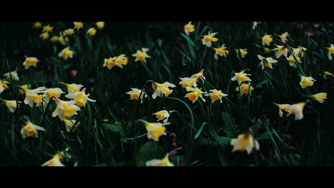 Uncover the Hidden Beauty of Warley Place