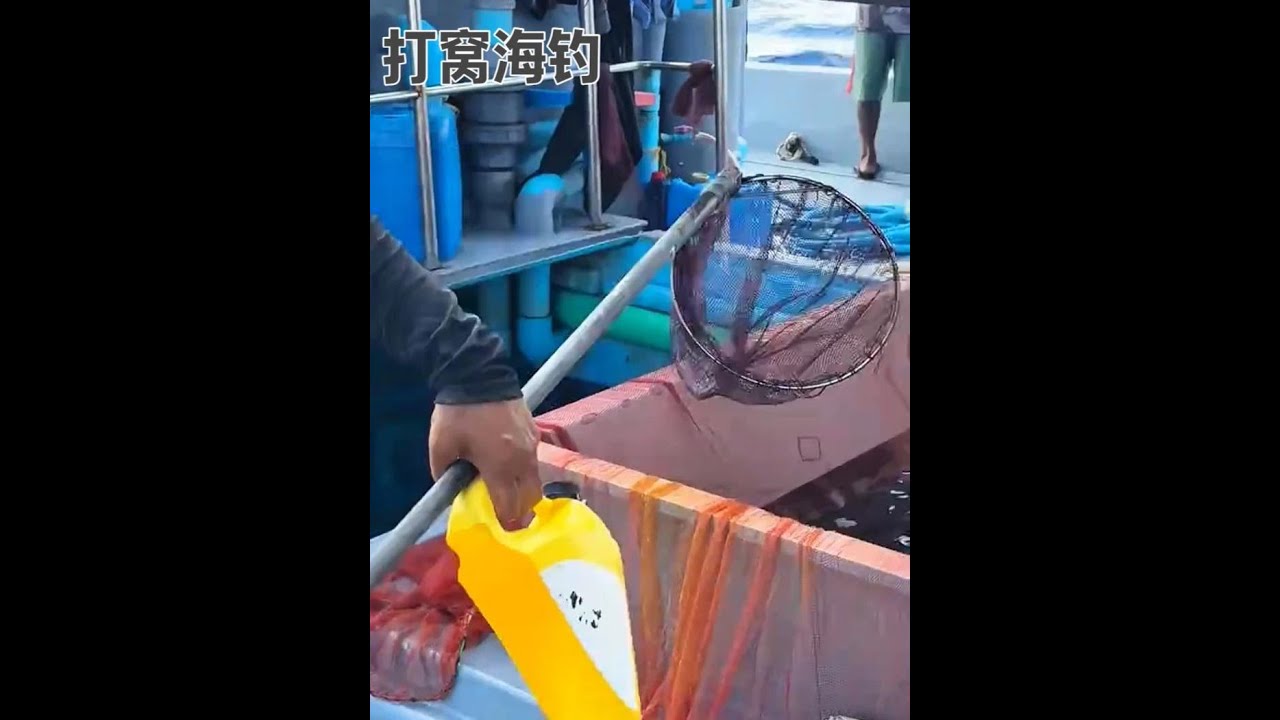 漁民巧用活餌誘捕大魚：海釣精彩實錄 #海釣