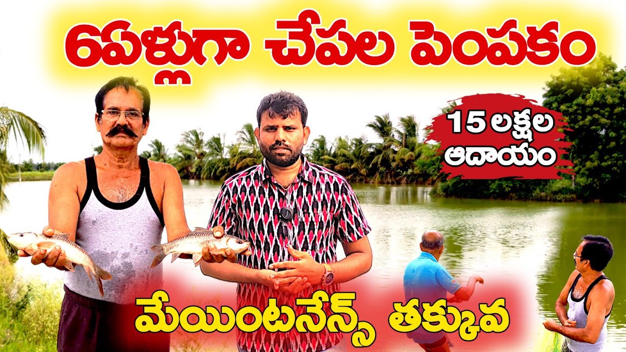 చేప‌ల పెంప‌కం | సంవత్సరానికి 15లక్షల ఆదాయం | Fish farming in telangana | #fishfarmingtelugu