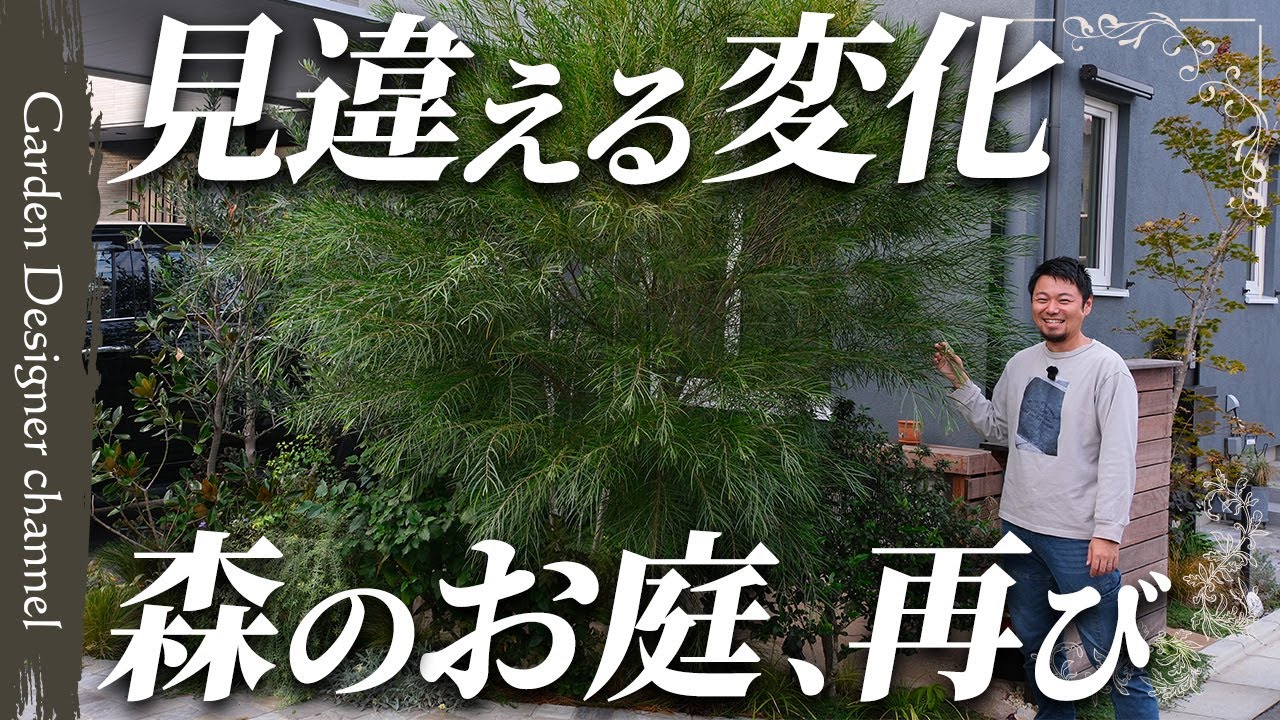【急成長！】あれから半年…完成された素敵なお庭がさらに進化！【The Garden Six Months Later】