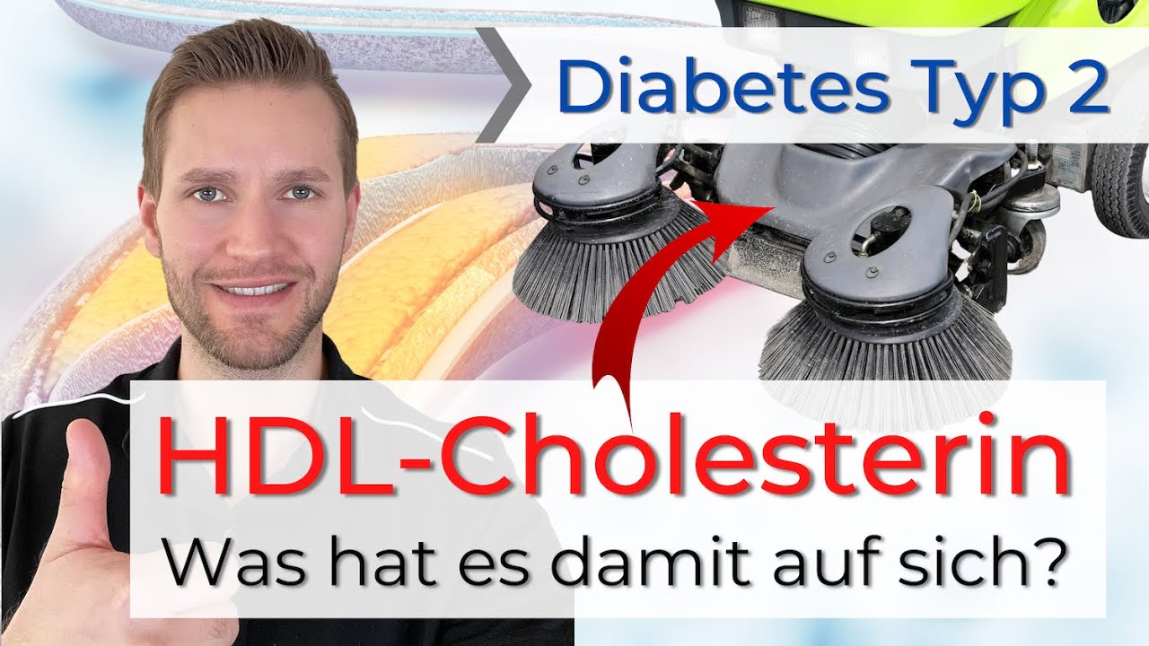 Erhöhte Cholesterinwerte bei Typ 2 Diabetes - Was macht HDL?