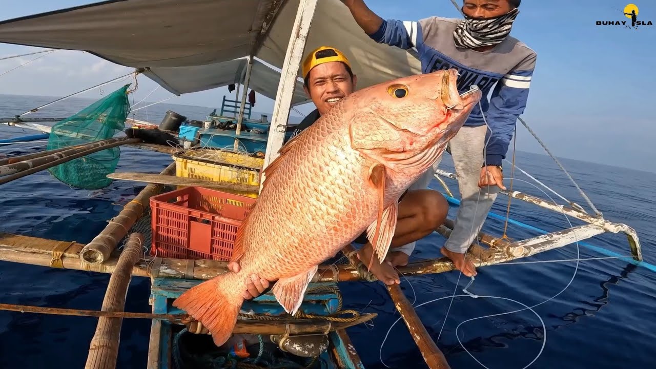 Naglalakihang huli at kumita ng 10,000+ | catch, cook and sell | full movie 2 days adventure