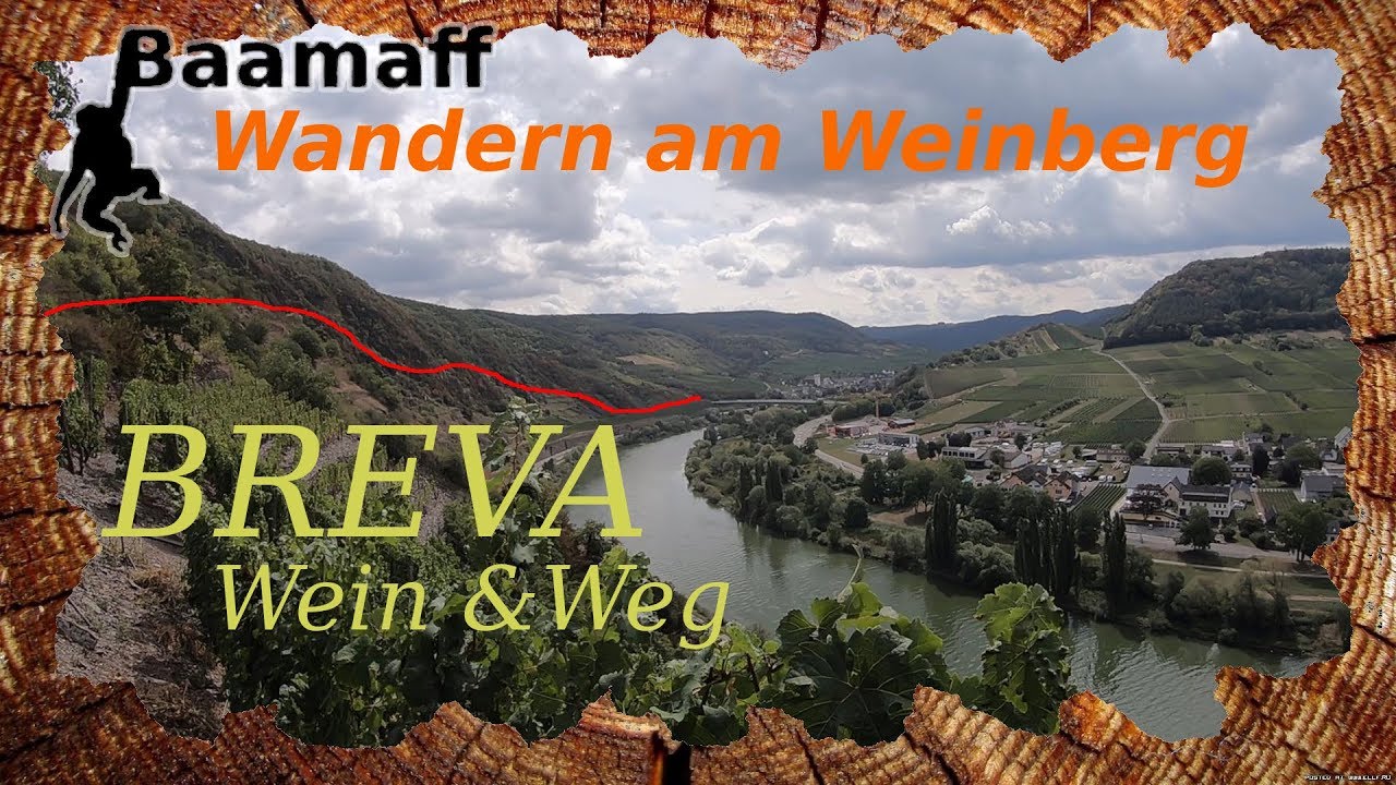 NUR FÜR GEÜBTE WANDERER - unterwegs in den Weinbergen an der Mosel - BREVA Wein und Weg