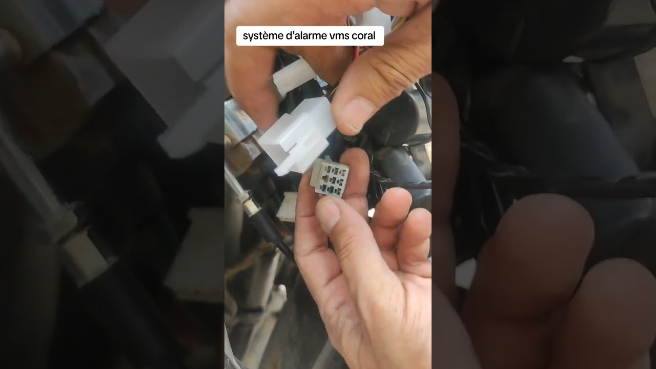 système d'alarme vms coral