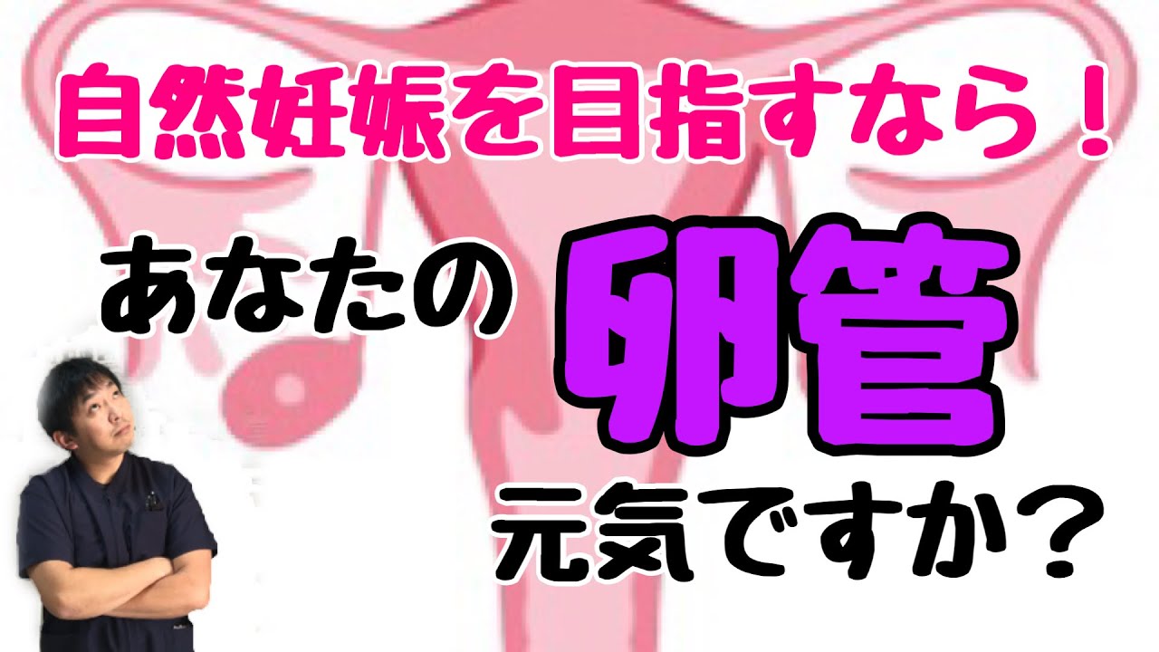 【自然妊娠を目指す】あなたの卵管の状態はどう？自然妊娠を目指した時の卵管の状態のお話