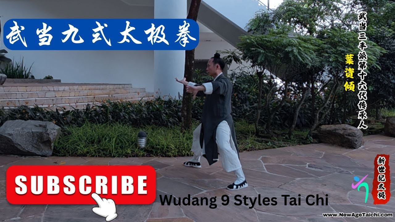 武当九式太极拳 Wudang Nine-Form Tai Chi