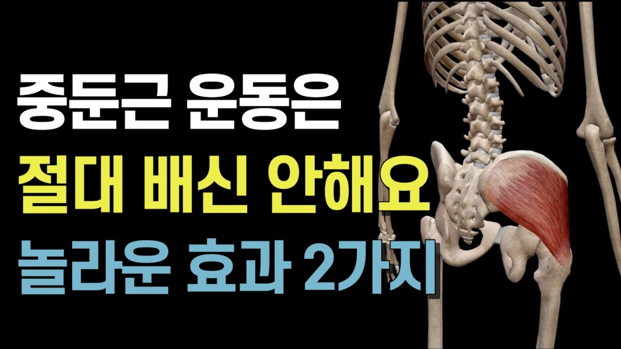 '진정한 이 운동의 힘' 최고의 중둔근 운동 3가지 미친 효과