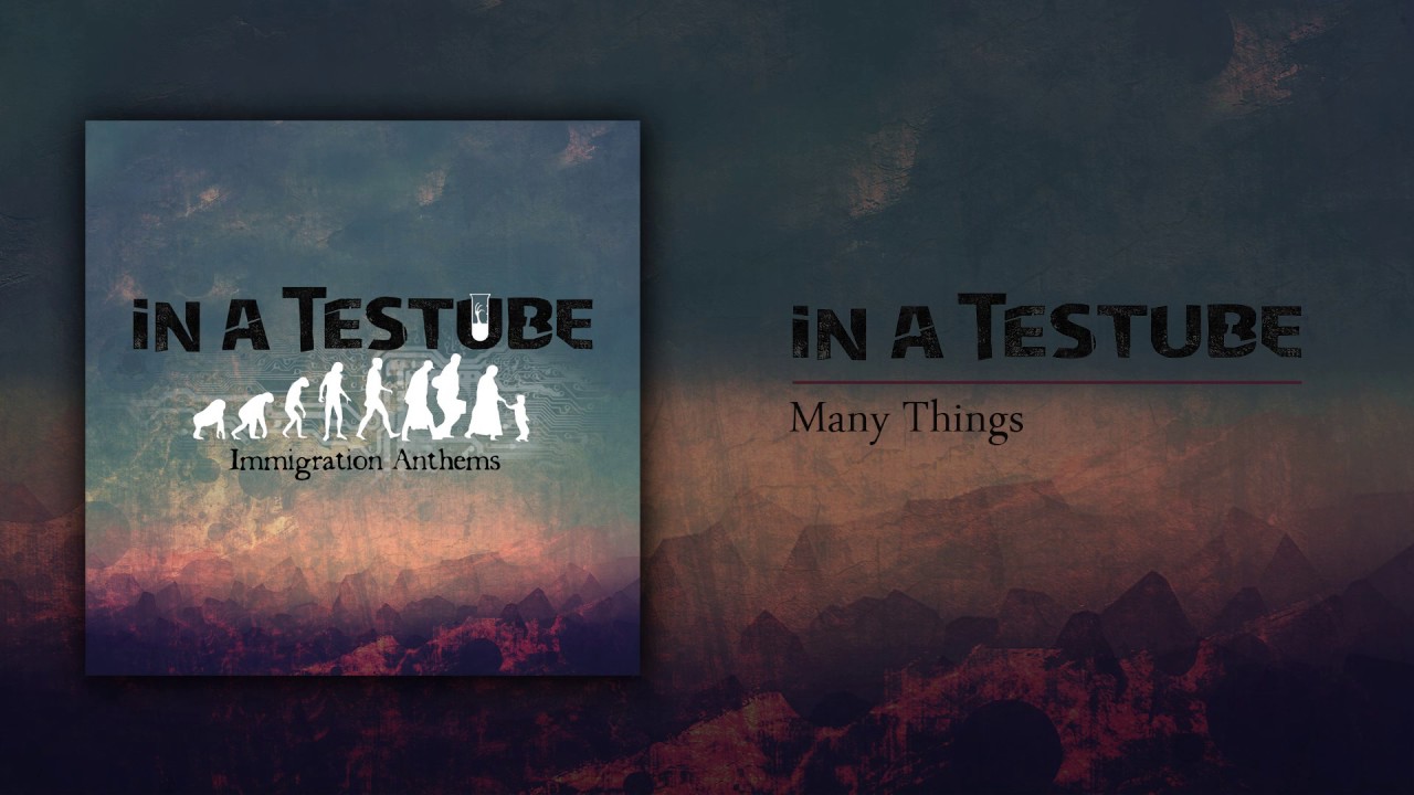 In a Testube   -Many Things (Official Audio )