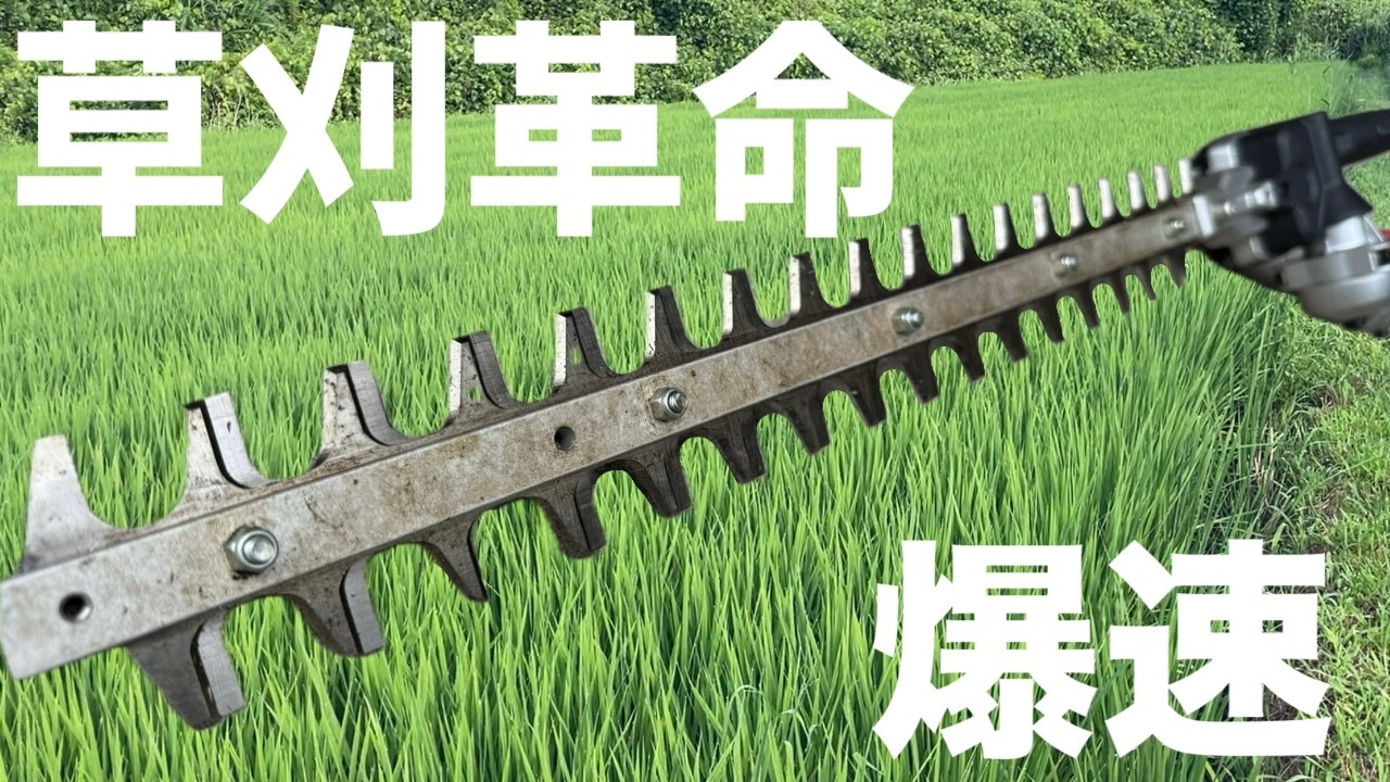 [マキタ沼]ヘッジトリマーで田んぼ草刈りしたらすごかった。果たしてマキタの電動草刈機は田んぼに通用するのか⁉︎