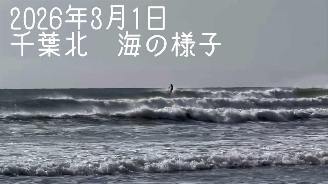【vlog】2026年3月1日　海の様子　千葉北へ　eojoy surfing blog #ロングボード #longboard 