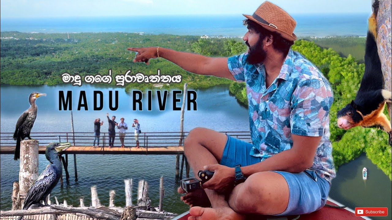 Madu Ganga | Balapitiya | කිඹුල්ලු මැදින් මාදු ගගේ පුරාවෘත්තය සොයා #riversafari  #maduganga #travel