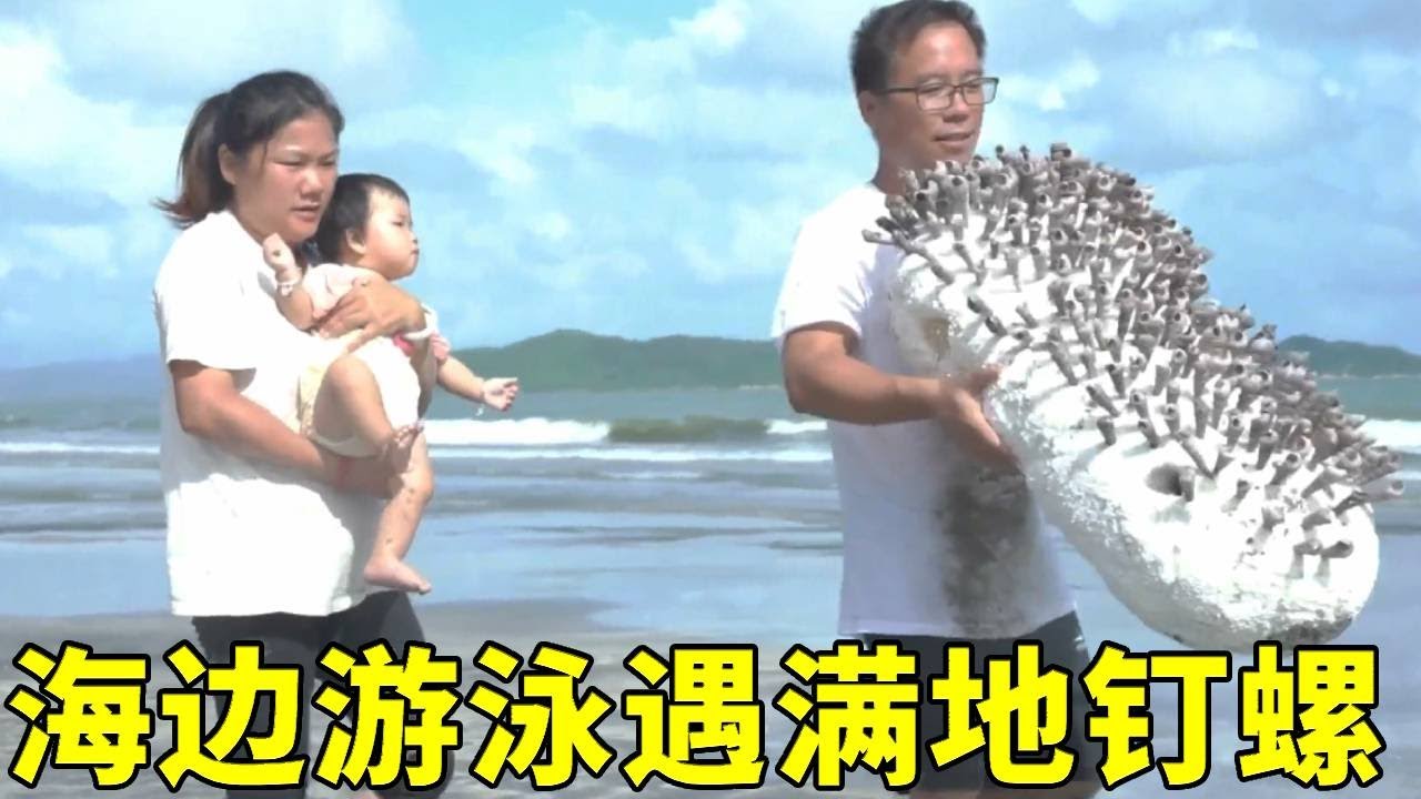 小漁和家人海邊游泳，突然發現遠處滿地都是釘螺！回家蒸煮吃著太香了【漁小仙】