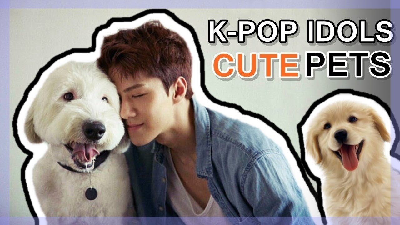 K-POP IDOLS VS. PETS