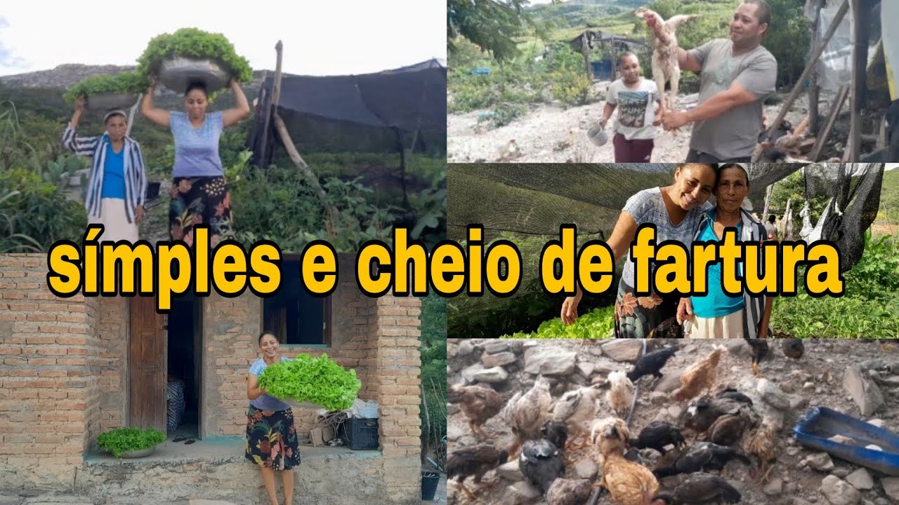 CASINHA SÍMPLES E HUMILDE DA MINHA MÃE E COM MUITA FARTURA