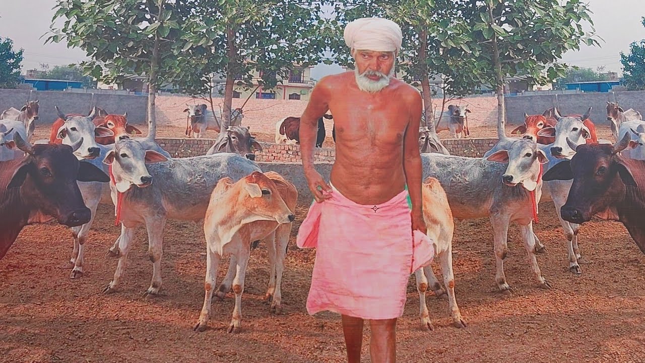 ਬਾਬਾ ਭੋਲਾ ਨਾਥ ਜੀ ਦੀ ਪਹਿਲੀ ਬਰਸੀ