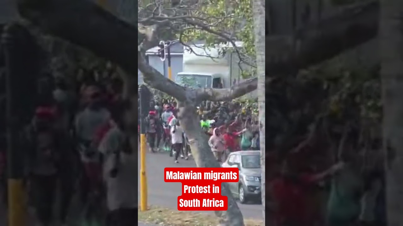 Malawian nationals protest the arrest of of Malawians by SA Police #southafrica #shorts