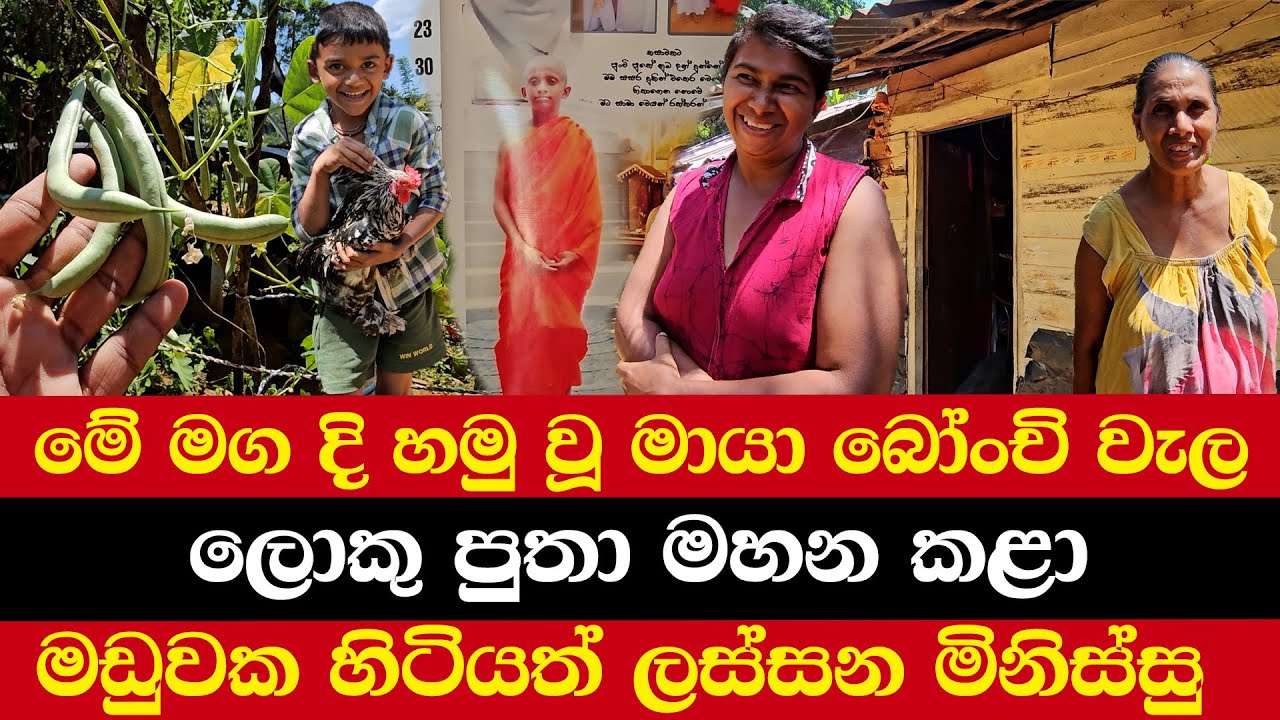 උදව් නොදුන් මායා බෝංචි වැල | ලොකු පුතා මහන කළා | මඩුවක හිටියත් ලස්සන මිනිස්සු