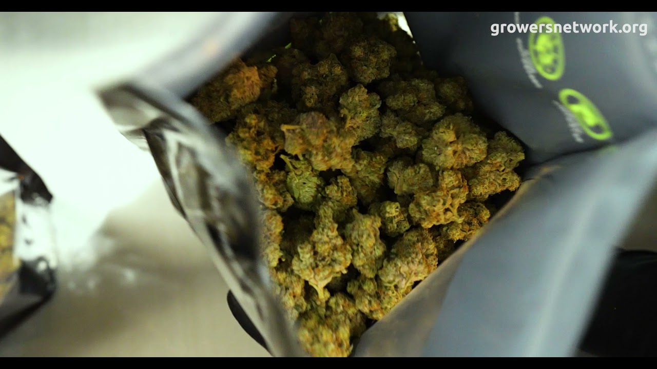 Pleasantrees Discussing Why They Trust Grove Bags & TerpLoc with Their Premium Cannabis