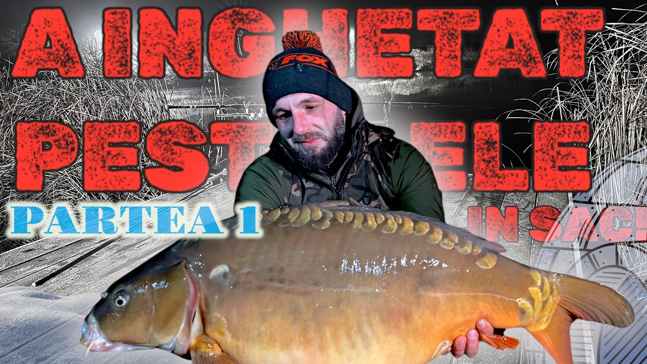 🎣PESTI SI GHEATA!🥶 Pescuit la limita REZISTENTEI pe Nicmar Clinceni!