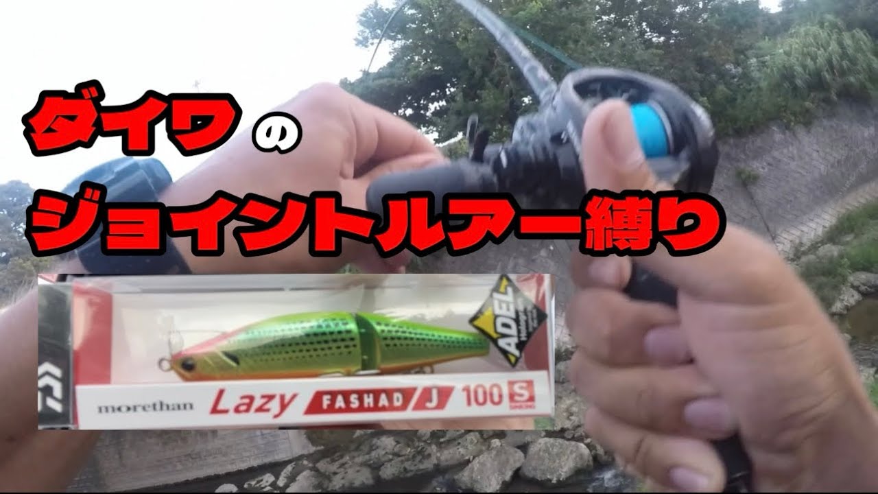 沖縄の淡水でもジョイントルアーは普通に通用する ダイワ レイジーファシャッドJ
