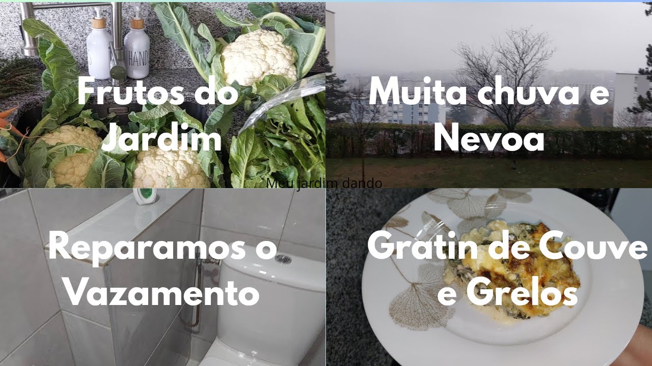 Rotina Com Muita Chuva & Receitas