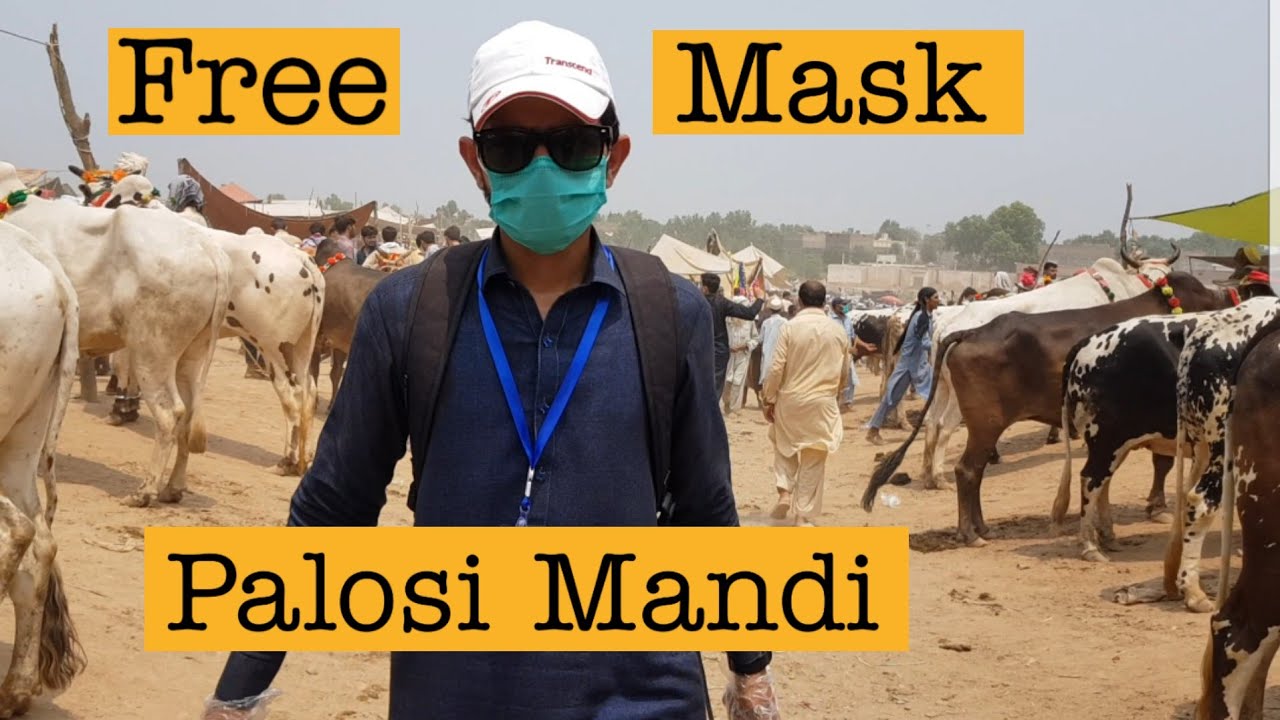 Palosi Mandi Peshawar|Free Mask Distribution|
