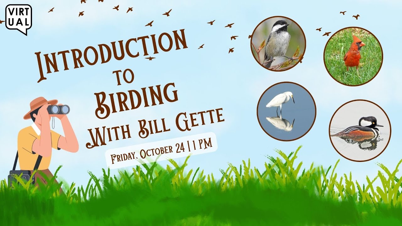 Introduction to Birding with Bill Gette