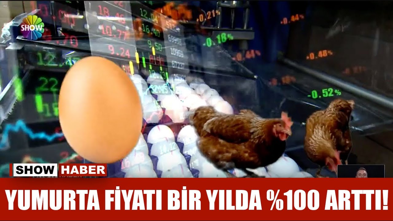 Yumurta fiyatı bir yılda %100 arttı!