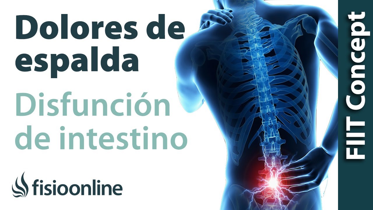 Disfunci&oacute;n de intestino y dolores de espalda, lumbares y lumbalgias - Causas y tratamiento