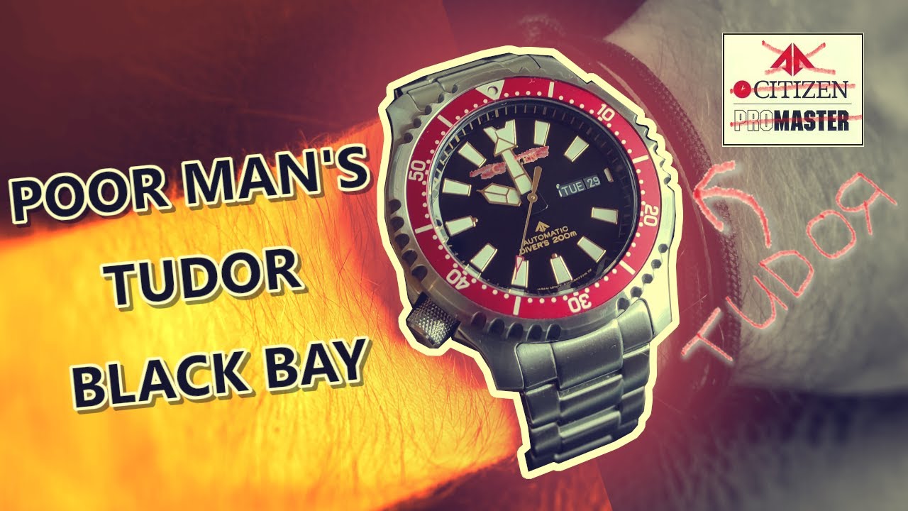 Poor man's Tudor Black Bay - Citizen FUGU NY0091-83E