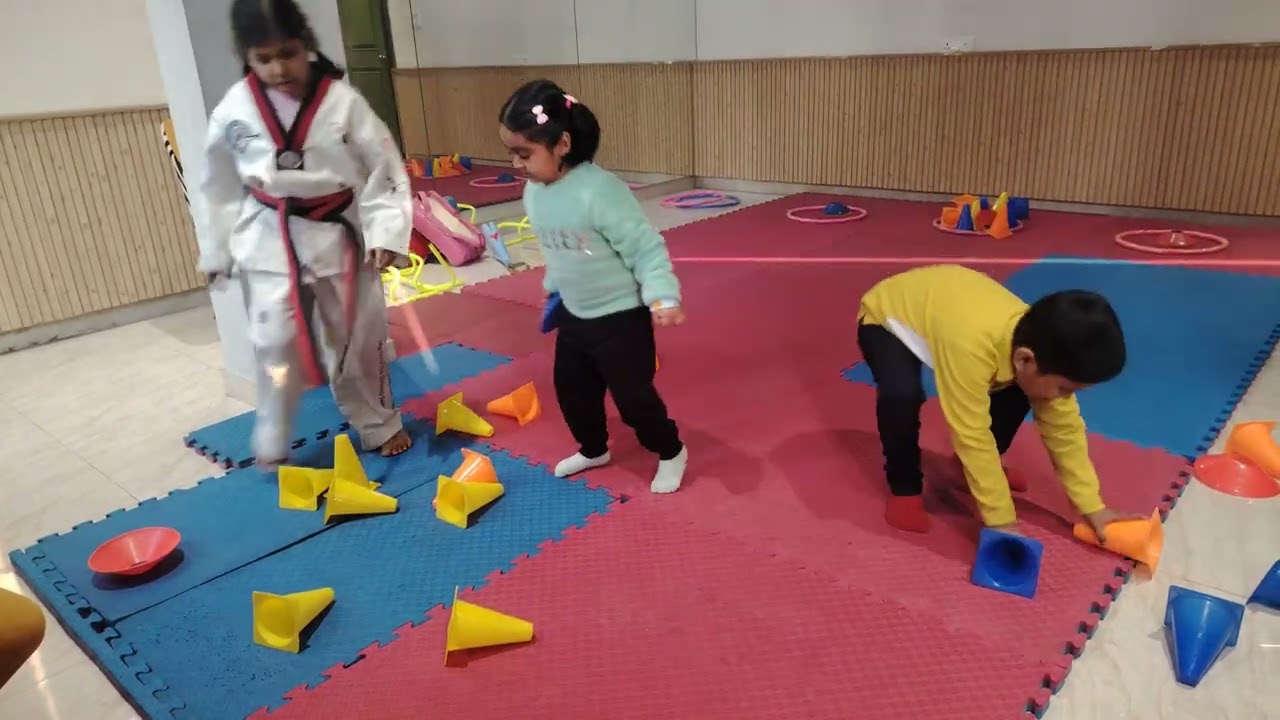 Frisky Panda 🐼​ Taekwondo classes          