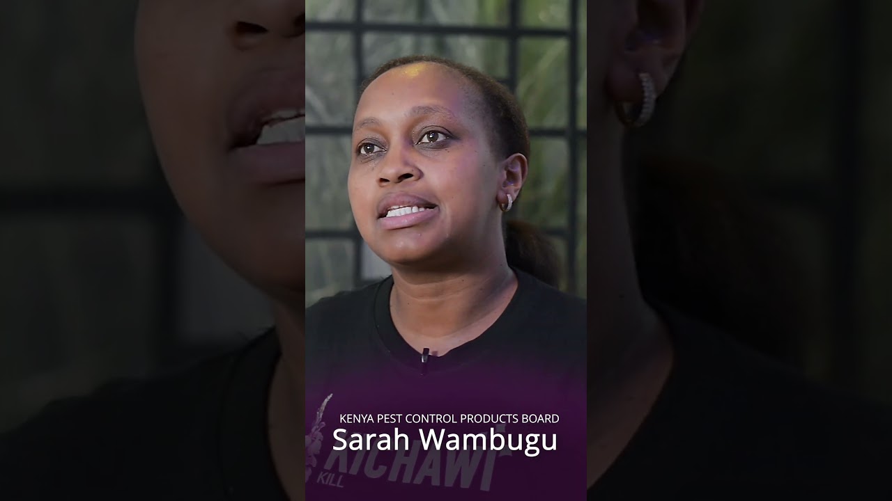Toothpick Insta 90 seconds - Testimonials from stakeholders 2024