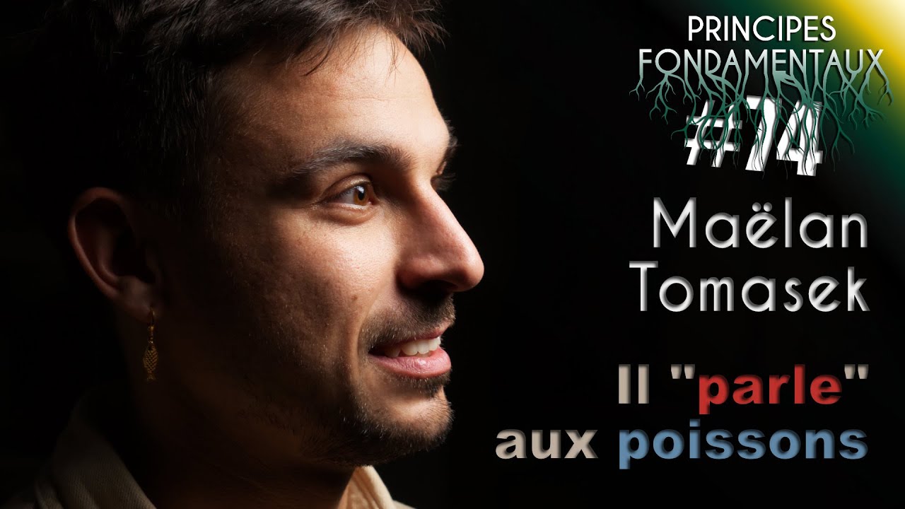 L'intelligence des poissons - Maëlan Tomasek | PF #74