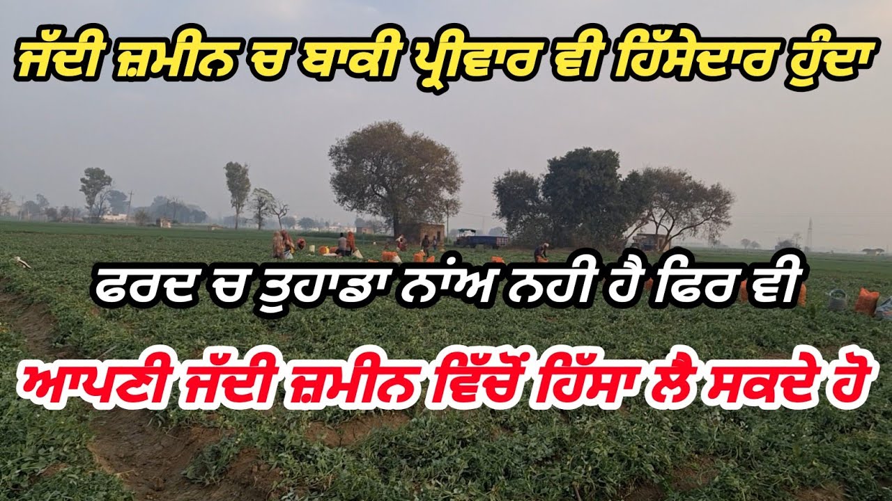 ਜੱਦੀ ਜ਼ਮੀਨ ਵਿੱਚ ਬਾਕੀ ਪਰਿਵਾਰ ਵੀ ਬਰਾਬਰ ਦਾ ਹਿੱਸੇਦਾਰ ਹੁੰਦਾ// ਕੋਈ ਇੱਕ ਬਿਨਾਂ ਸਹਿਮਤੀ ਦੇ ਜ਼ਮੀਨ ਨਹੀਂ ਵੇਚ ਸਕਦਾ