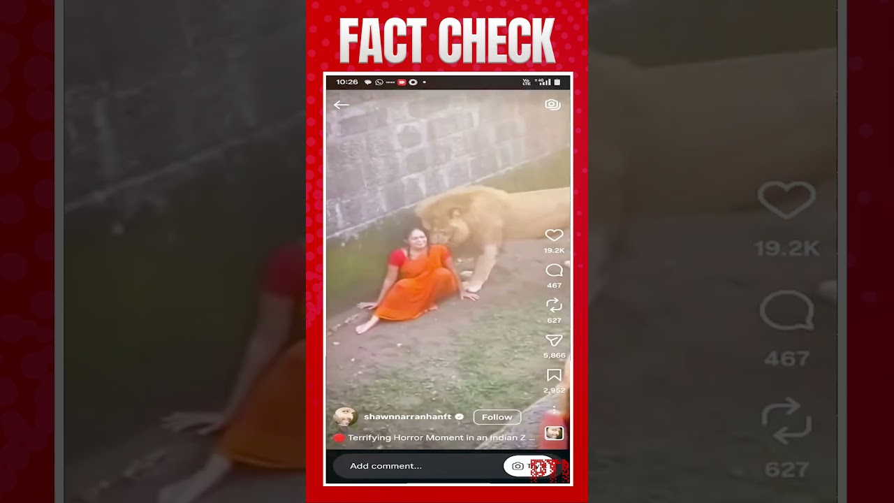 PTI Fact Check: AI video of woman in lion enclosure is fake