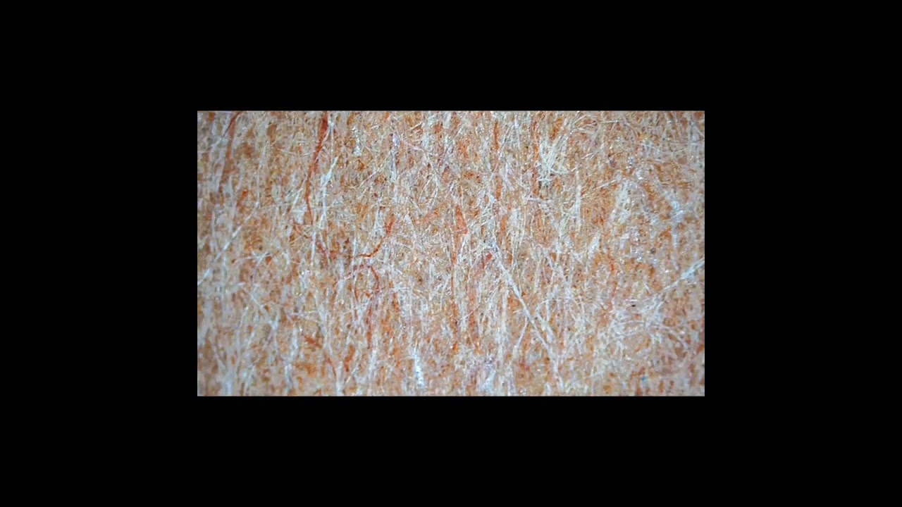 TANT Origami Paper Microscopic Zoom! #shorts