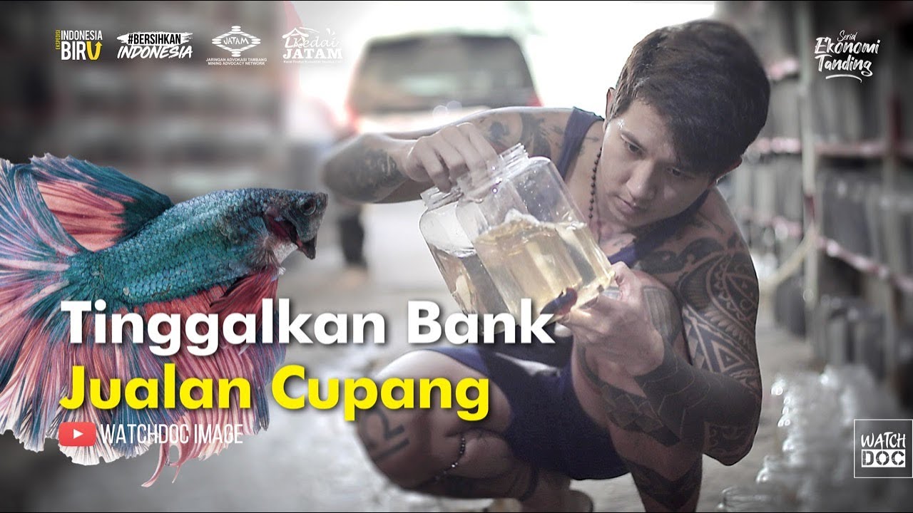 Tinggalkan Bank Jualan Cupang